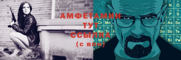 мдпв Лагань