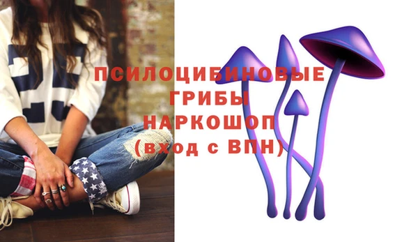 спиды Лабытнанги