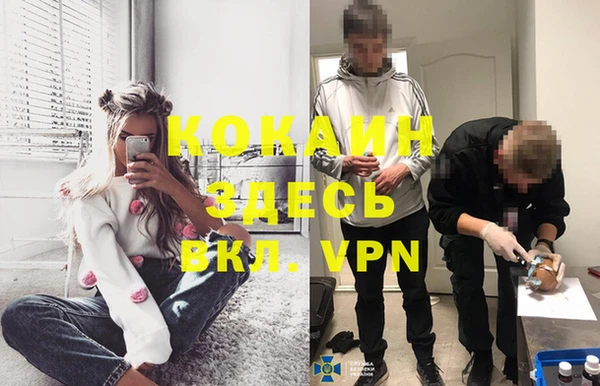 мдпв Лагань