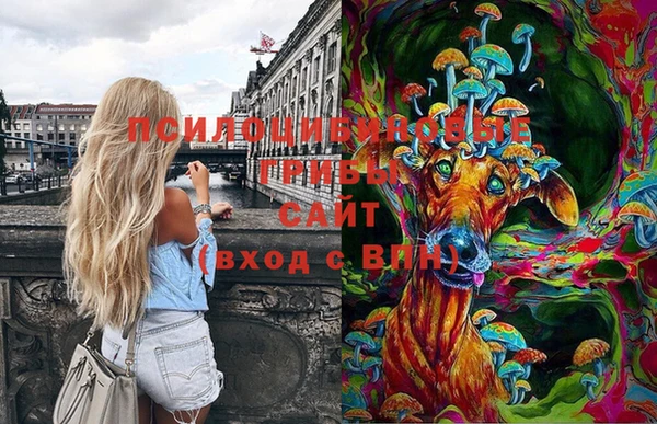 мдпв Лагань
